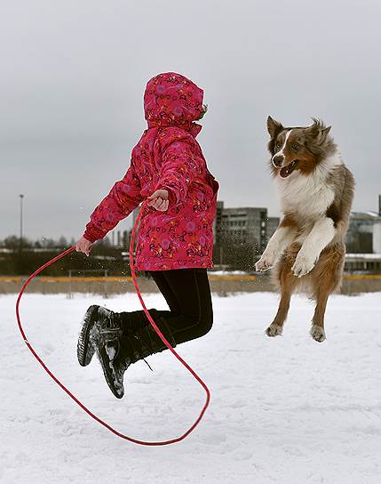 Москва, Россия. Девочка играет с собакой во время юниорской гонки на собачьих упряжках на лыжной базе «Молжаниново»