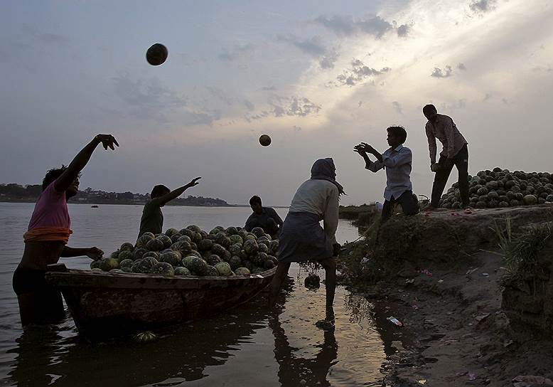 Аллахабад, Индия. Фермеры разгружают тыкву из своей лодки на берегу Ганга