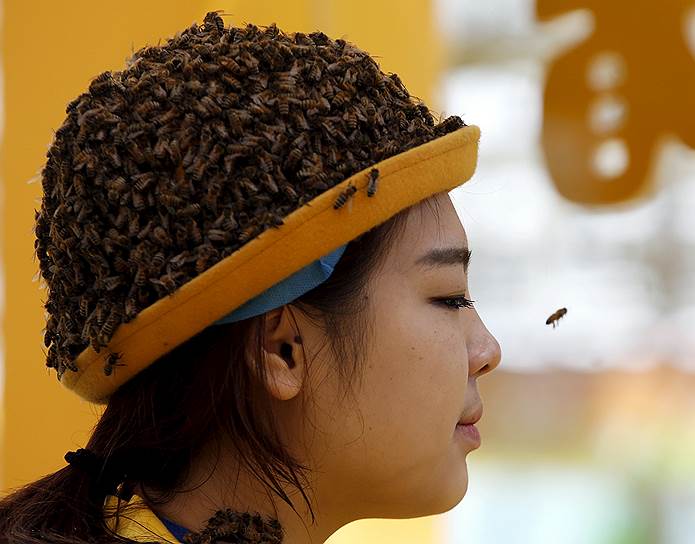 Пекин, Китай. Участница сельскохозяйственной ярмарки в шляпе, покрытой живыми пчелами