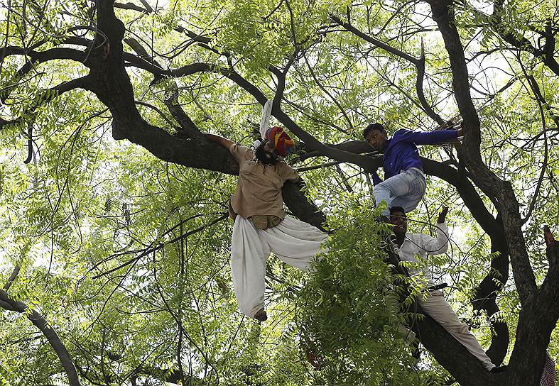 Нью-Дели, Индия. Сторонник «Партии Простого Человека» пытается спасти человека, который решил совершить повешение во время митинга ППЧ 