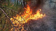 Из-за пала травы в Свердловской области сгорели девять домов