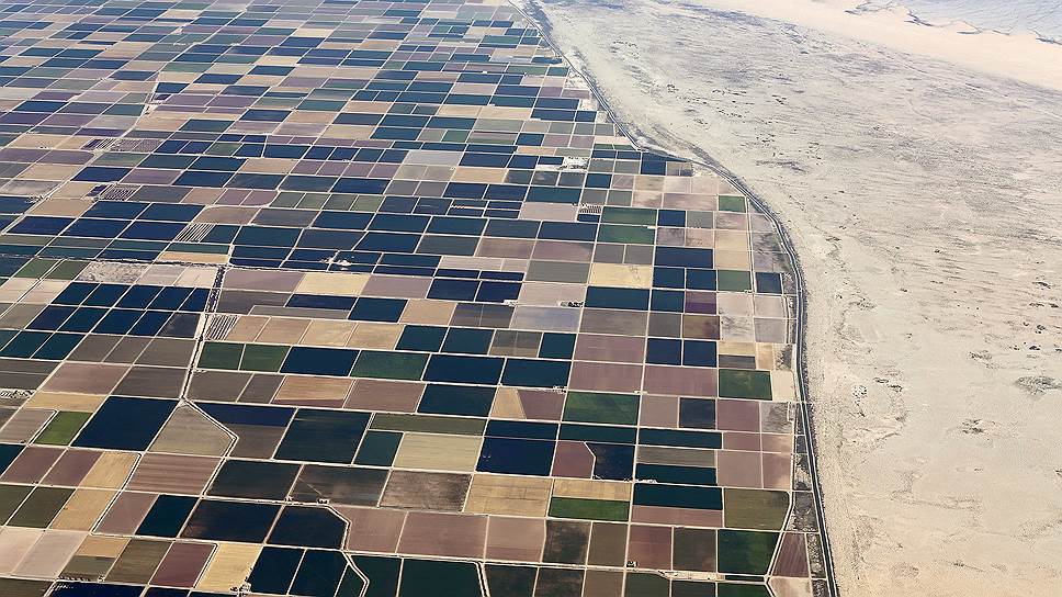 Эль-Сентро, США. Сельскохозяйственные угодья рядом с пустыней в Калифорнии, которая в последние годы переживает сильнейшую засуху