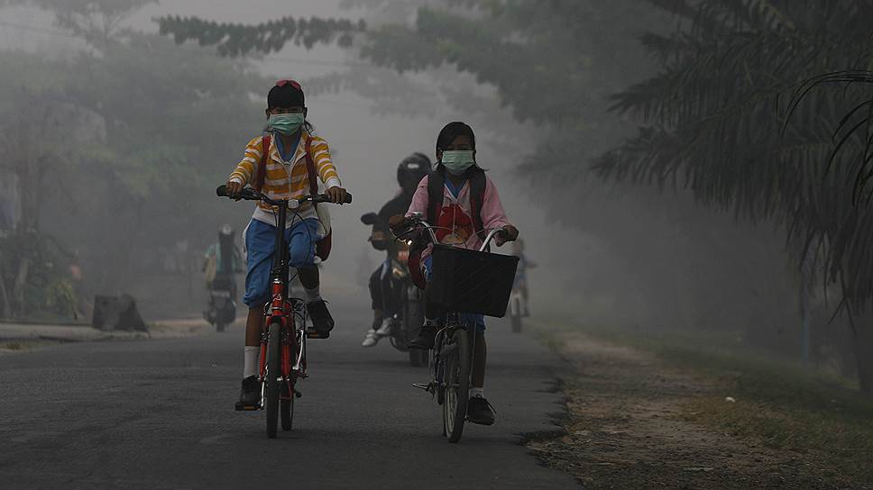 Каждый год в индонезийском городе Сампит разгораются лесные пожары. Весь город на это время погружается в туман, тем не менее, школы на время пожара закрывают редко и занятия почти никогда не отменяют