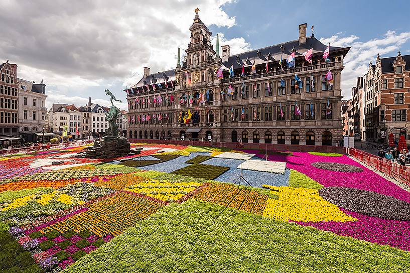 Антверпен, Бельгия. Более 173 тыс. горшков с несколькими десятками разновидностей цветов украсили площадь перед городской ратушей, зданию которой в этом году исполняется 450 лет