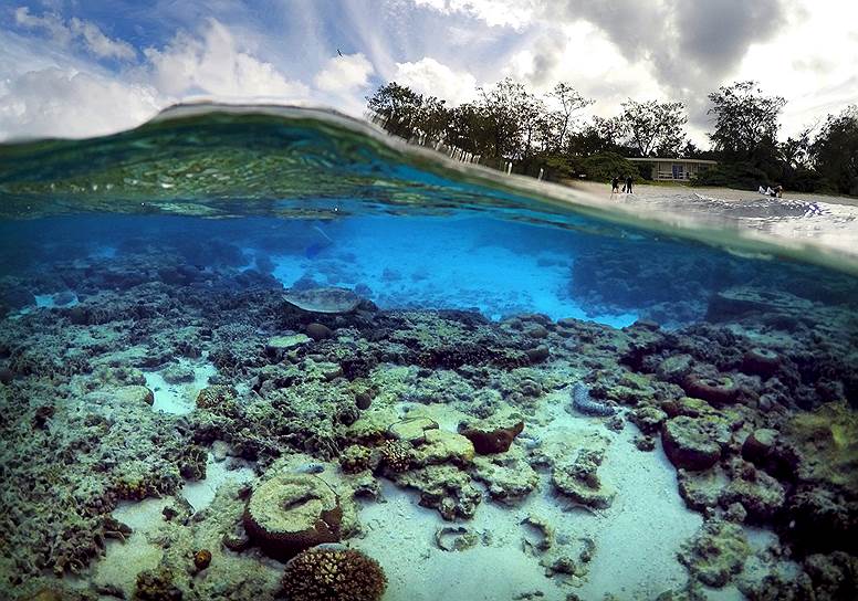 Большой барьерный риф — крупнейший в мире коралловый риф и самый большой на Земле природный объект, образованный живыми организмами. Он насчитывает более 2,5 тыс. отдельных коралловых рифов. Большой барьерный риф протянулся вдоль северо-восточного побережья Австралии на 2,5 тыс. км и занимает площадь около 344 тыс. кв. км.
