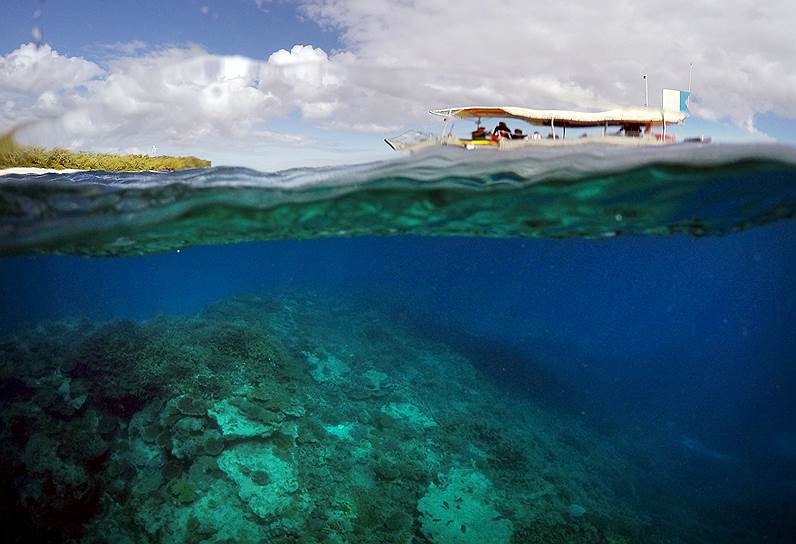 Согласно австралийскому законодательству, туристы могут посещать только специально выбранные для этого острова, а во время экскурсии запрещено трогать рифы руками 