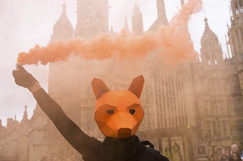 Лондон, Великобритания. Протестующий против смягчения закона о запрете охоты на лис