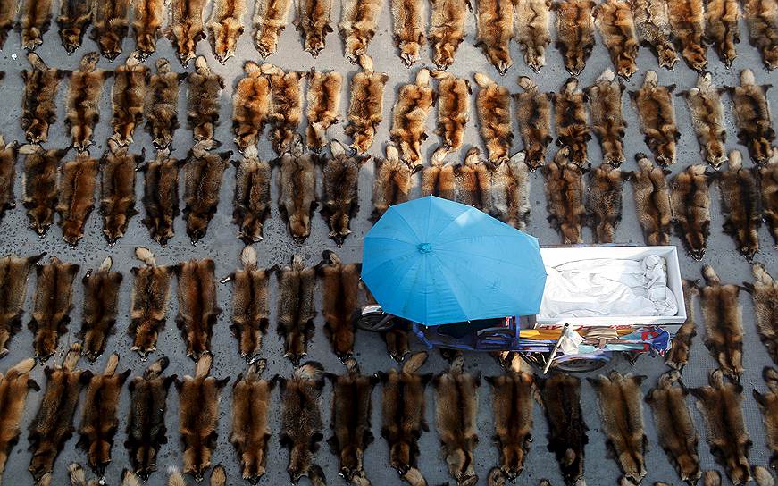 Цзясин, Китай. Меховой рынок. На фото: шкуры енотовидных собак
