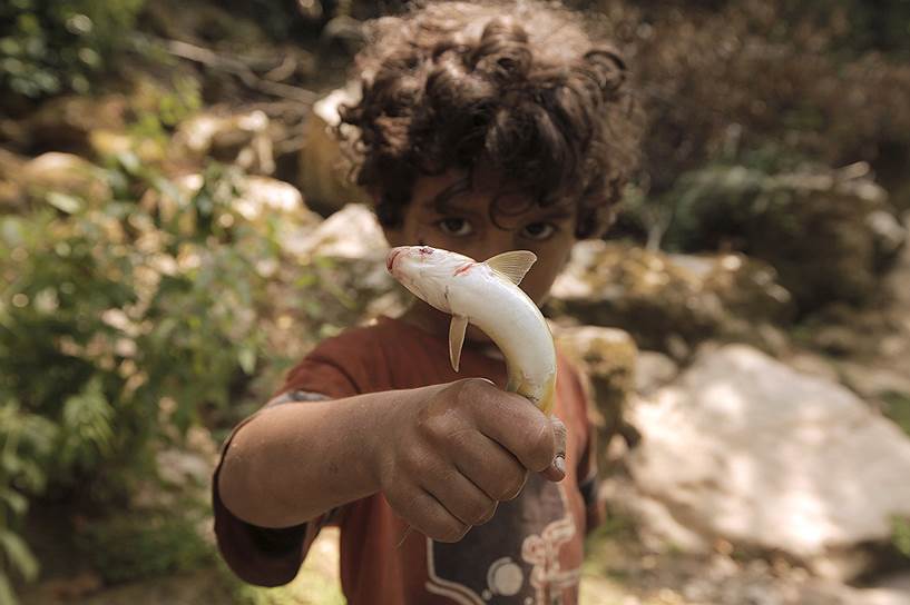 Нахр Ибрагим, Ливан. Мальчик держит в руках рыбу, которую его мама поймала, чтобы приготовить на обед
