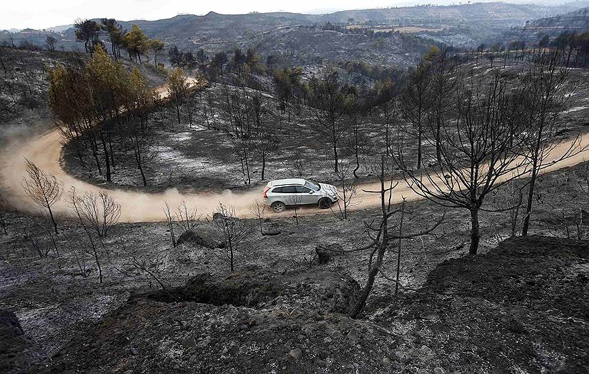 Сан-Сальвадор-де-Гвардиола, Испания. Машина проезжает по дороге, по обе стороны которой стоят деревья опаленные пожаром