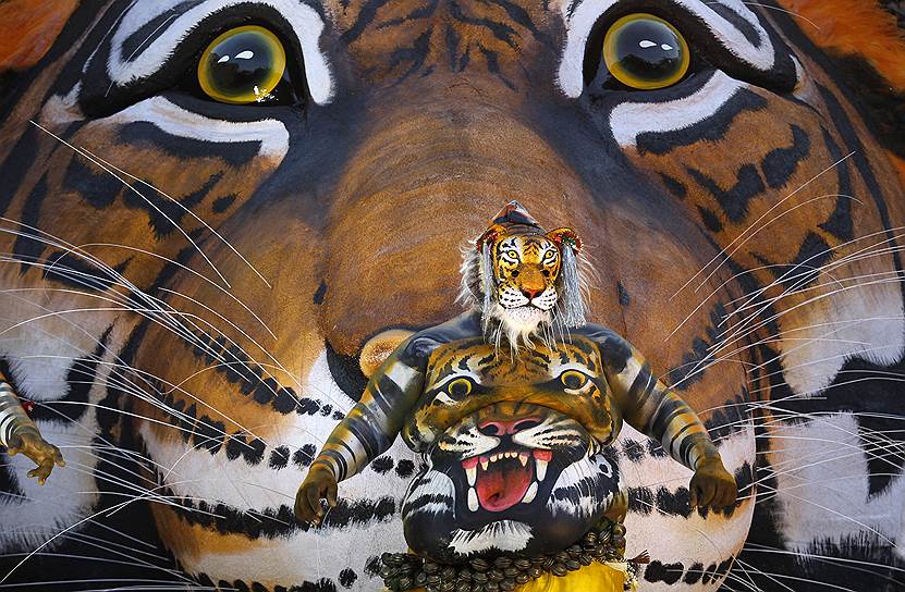 Триссур, Индия. Актер в костюме тигра танцует на фестивале народного творчества