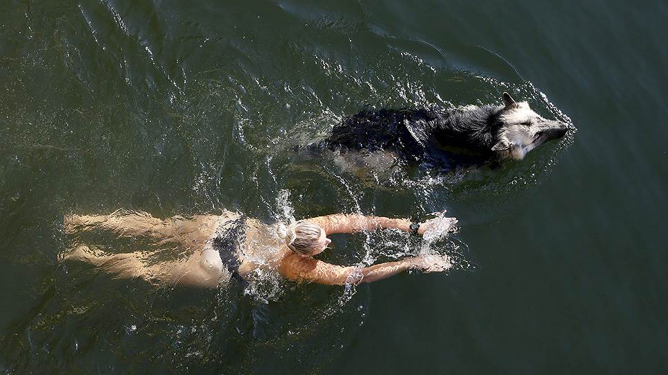Красноярск, Россия. Женщина с собакой, купающиеся в Енисее
