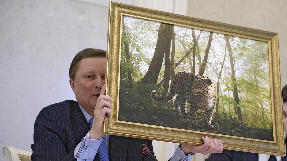 Как Сергей Иванов доложил об увеличении популяции леопардов