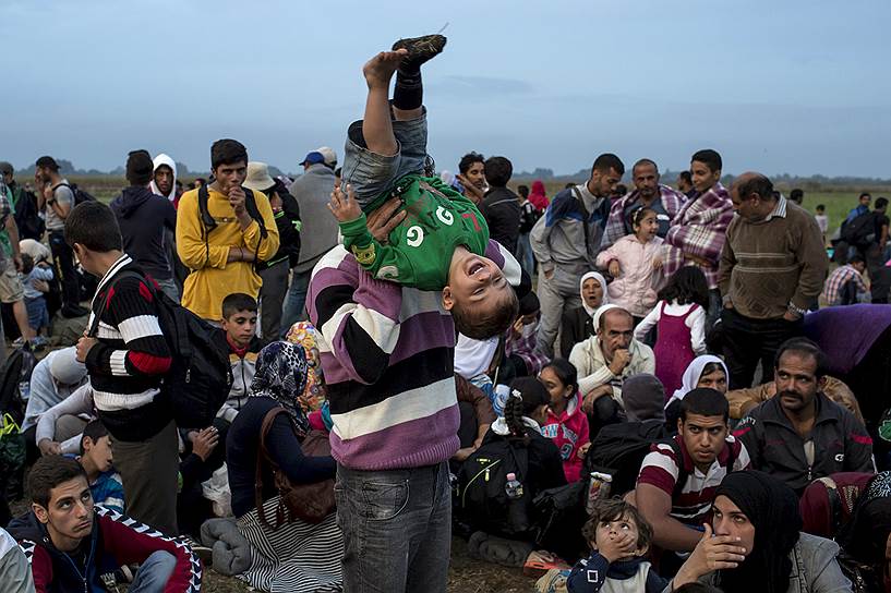 Мигранты из Сирии после успешного пересечения сербско-венгерской границы