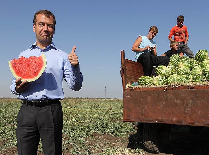 2 сентября 2010 года. Президент России Дмитрий Медведев во время посещения колхозно-фермерского хозяйства «Грачиное», которое занимается выращиванием зерновых и бахчевых культур 