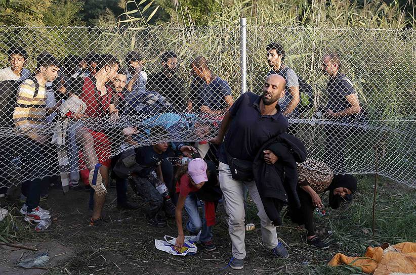 Хоргос, Сербия. Беженцы пролезают под оградой возле шоссе, пытаясь найти новые пути в Венгрию после закрытия границ