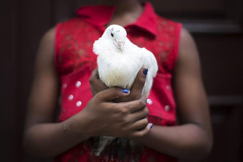 Гавана, Куба. Восьмилетняя девочка, продающая голубя на улице в центре города