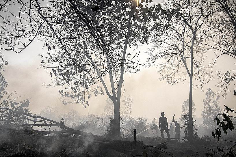 Пеканбару, Индонезия. Сотрудники полиции во время тушения лесного пожара