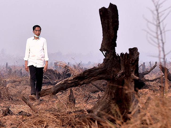 Банджарбару, Индонезия. Президент Индонезии Джоко Видодо осматривает последствия лесных пожаров