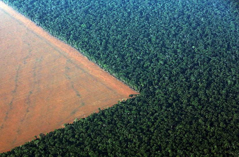 Мату-Гросу, Бразилия. Граница тропического леса и поля, подготовленного для посадки сои