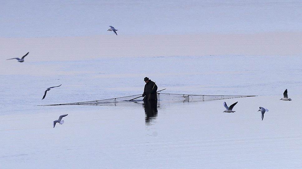 Смржов, Чехия. Рыбак во время традиционного лова карпа