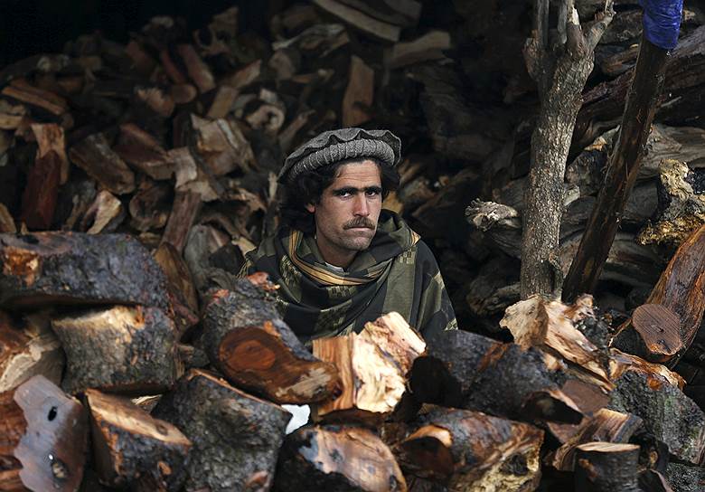 Кабул, Афганистан. Уличный продавец дров