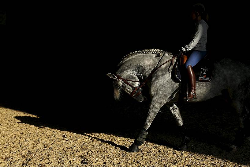 Севилья, Испания. Девушка на коне во время выставки чистокровных пород Sicab