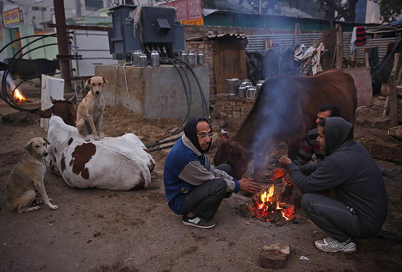 Аллахабад, Индия. Мужчины, греющиеся у костра холодным утром