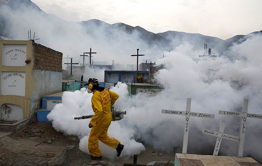 Лима, Перу. Обработка кладбища противомоскитным препаратом с целью остановить распространение вируса Зика
