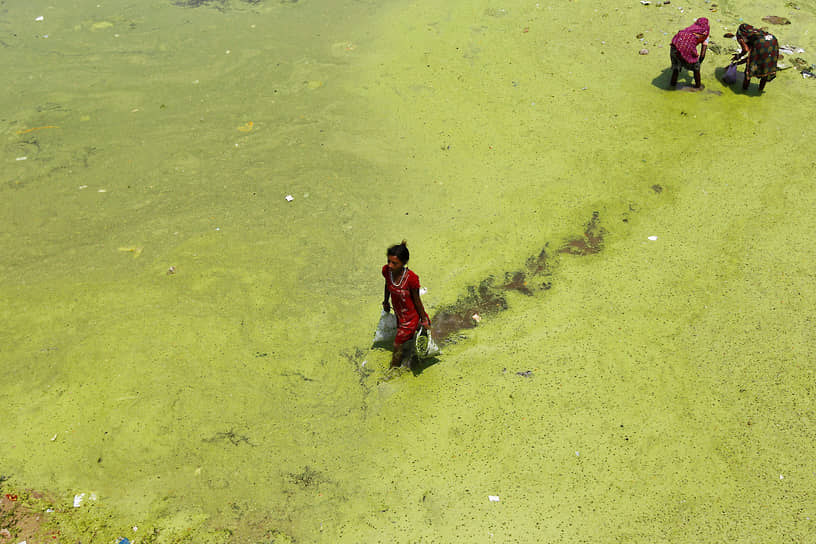 214 рек и озер являются общими для двух и более государств. Нил, например, несет свои воды через Танзанию, Руанду, Заир, Уганду, Эфиопию, Судан и Египет. Во всех этих странах растет потребность в воде, ведь население все время увеличивается&lt;br> 
На фото: рабочий несет мешки с водорослями во время очистки реки Сабармати в городе Ахмадабад на западе Индии
