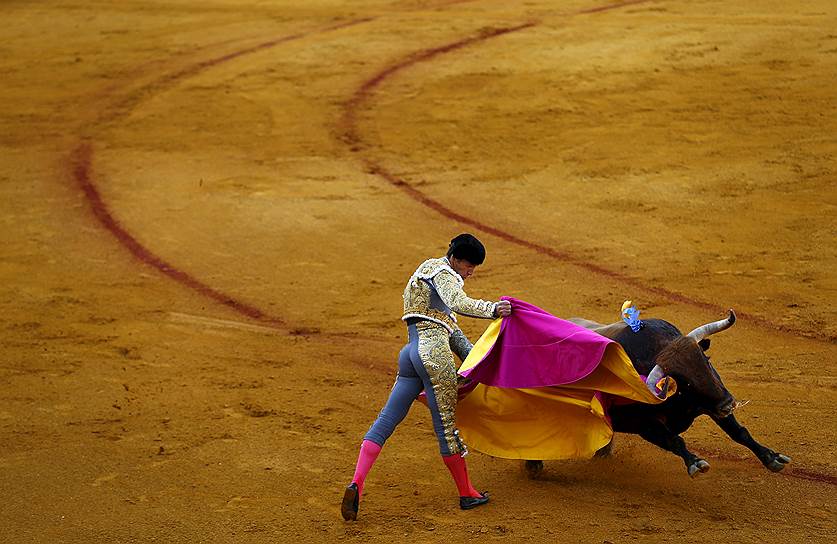 Севилья, Испания. Бой быков на арене «Маэстранса»