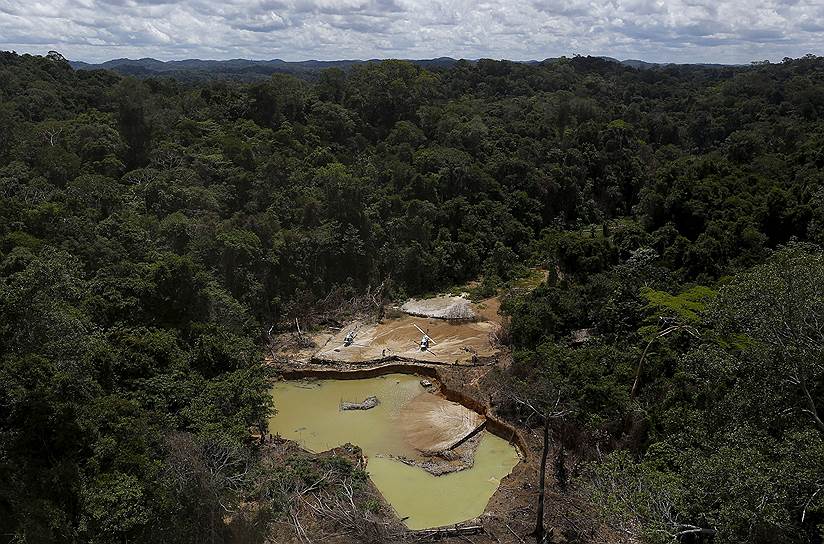 Старатели вырубают леса и заражают почву токсичной ртутью, которая используется для отделения золота от руды