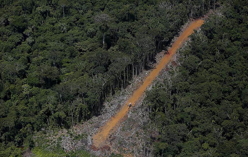 Борьба с незаконной золотодобычей в бассейне Амазонки усложняется тем, что плотный лес не позволяет вести спутниковую съемку. Кроме того, старатели пытаются не привлекать к себе излишнего внимания и не вырубают леса в больших объемах
