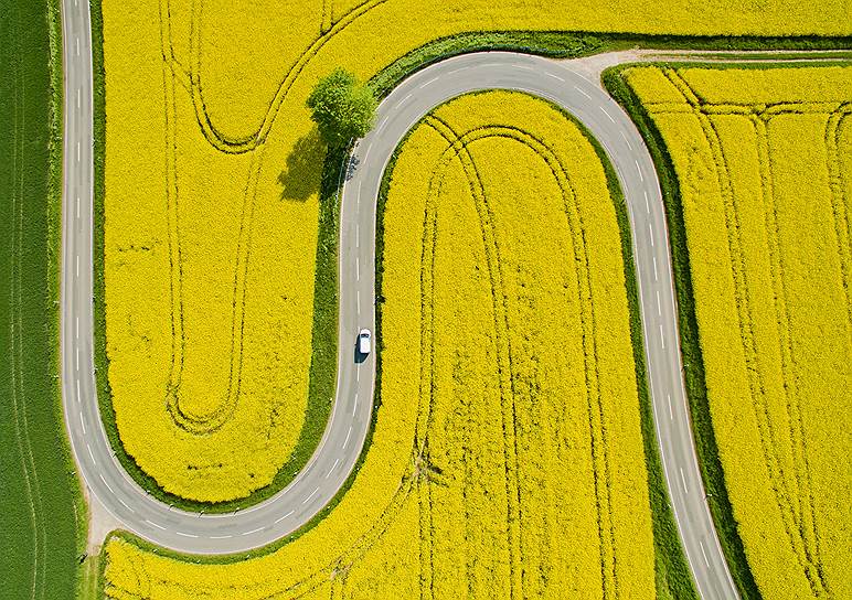Найнстедт, Германия. Аэросъемка машины, едущей по шоссе вдоль цветущих полей 