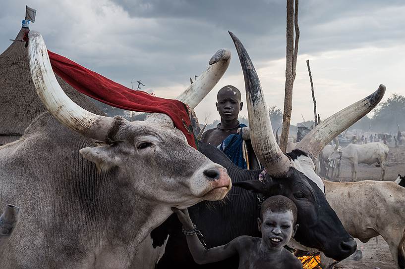 Алессандро Рота, Италия. Кочевники в Южном Судане