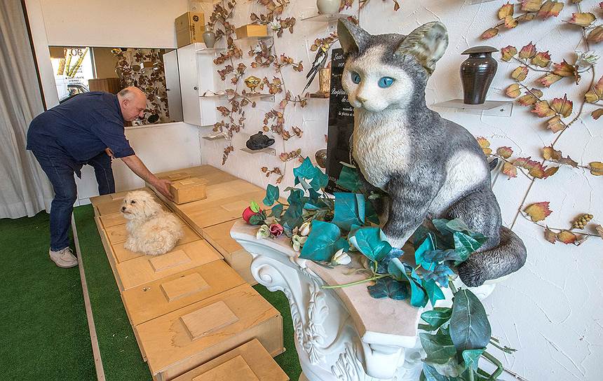 Основатель компании Animatrans Патрик Пендвилл в магазине ритуальных товаров для животных в Брюсселе
