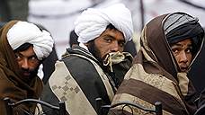 В рядах движения «Талибан» наметился раскол