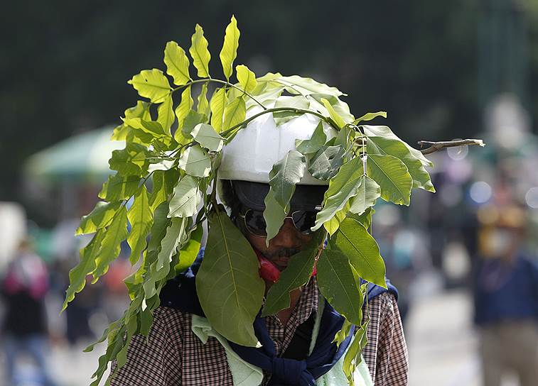 Декабрь 2014-го. Антиправительственные выступления в Таиланде. Протестующий в шлеме и с листьями на голове