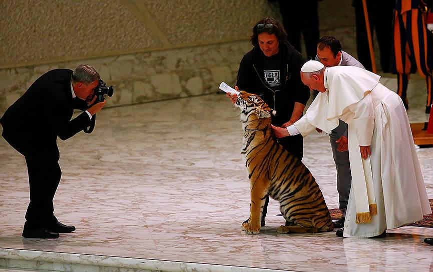Ватикан, Италия. На Папа римский гладит тигра на «Юбилее бродячих артистов». Также он поблагодарил артистов за праздник и радость, которые они дарят людям