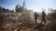За пожары в Бурятии ответит глава лесхоза
