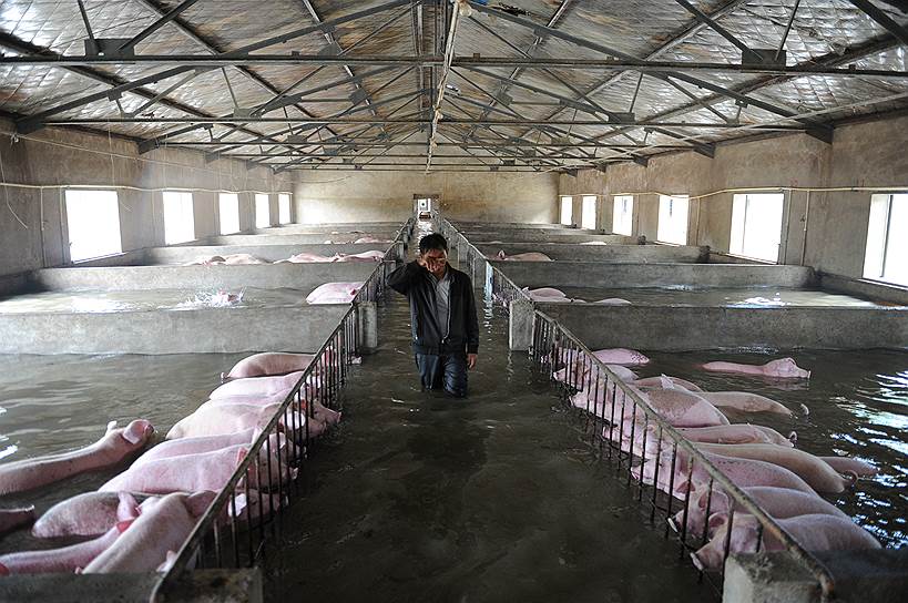 Аньхой, Китай. Работник фермы вытирает слезы во время обхода затопленной фермы. Свиньи остаются в загонах из-за законов об охране окружающей среды