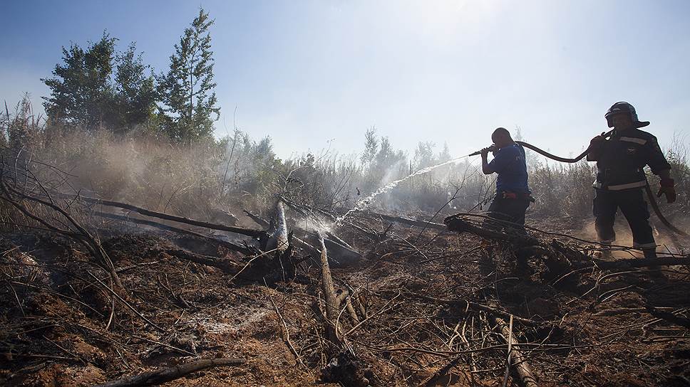 Почему Рослесхоз решил перевести систему тушения лесных пожаров на ручное управление