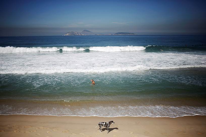 Рио-де-Жанейро, Бразилия. Мужчина со своей собакой на пляже