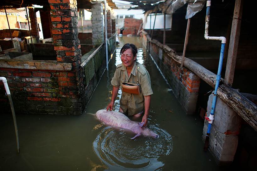 Сяогань, Китай. Женщина плачет над телом мертвого поросенка на своей затопленной ферме