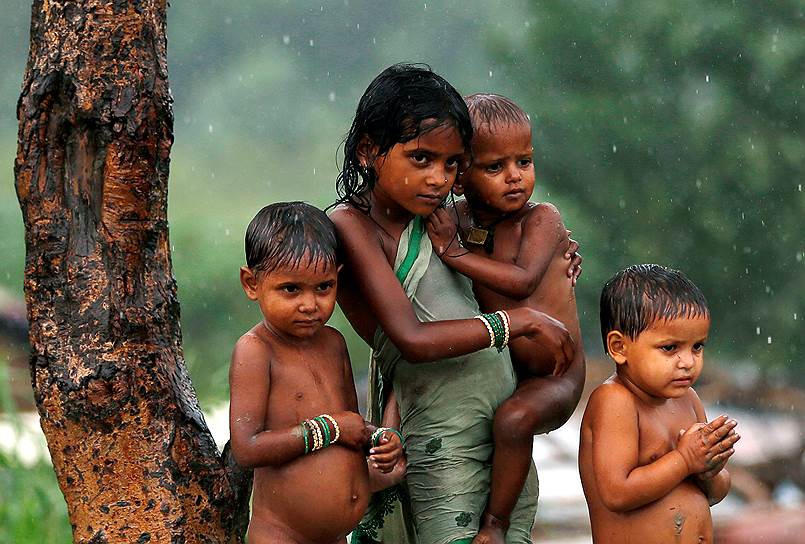 Нью-Дели, Индия. Дети, укрывшиеся под деревом от дождя 