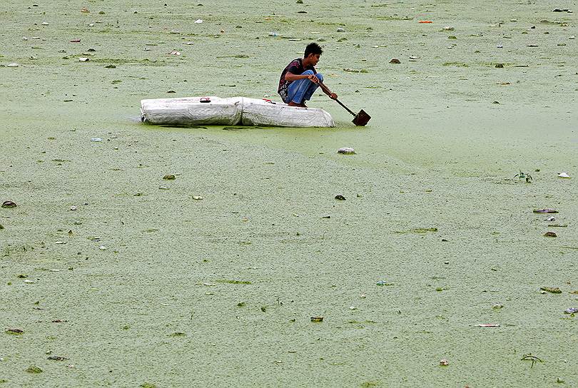 Ахмадабад, Индия. Покрытая зеленью река Сабармати