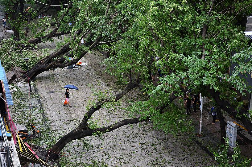 Шэньчжэнь, Китай. Поваленные тайфуном Нида деревья. Экономический ущерб от урагана оценивается в $76,9 млн