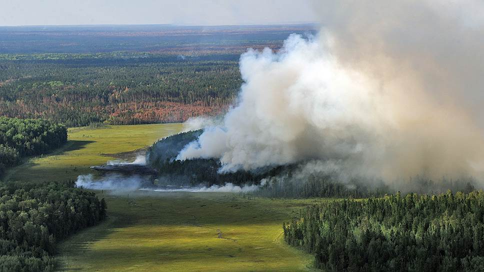 Юрий Чайка заявил, что лесные пожары обошлись стране в 3 млрд рублей