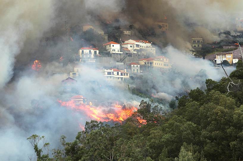 Мадейра, Португалия. Бушующие лесные пожары стали самыми сильными за всю историю острова
