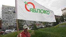 «Яблоко» исключит из своих рядов новгородских партийцев